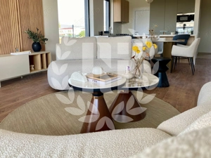 VILA DUPLEX BALOTESTI - imagine 3