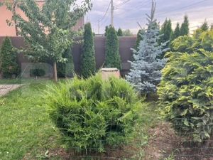 Casă Sângeorgiu de Mureș – 500 mp teren, finisaje premium, zonă liniștită - imagine 3