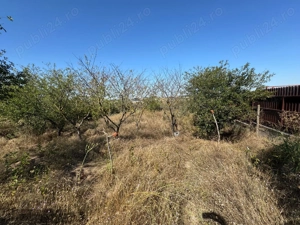 Cabana din lemn+ teren 2000 mp , 105.000 Euro negociabil, zona Metro - imagine 8