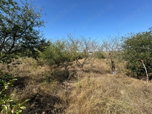 Cabana din lemn+ teren 2000 mp , 105.000 Euro negociabil, zona Metro - imagine 7