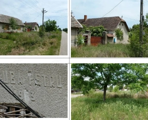 Cota de 1/2 din casa si teren, loc. loc. Graniceri, jud. Arad - imagine 2