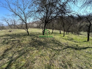 Teren Govora / 8131mp - imagine 2