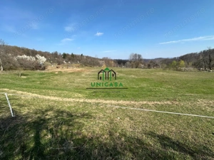 Teren Govora / 8131mp