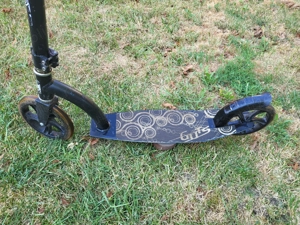 Vand trotineta Adulti