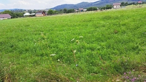 Vând teren intravilan in sat Oglinzi, com. Raucesti! - imagine 2