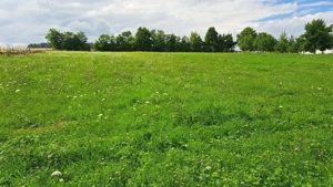 Vând teren intravilan in sat Oglinzi, com. Raucesti! - imagine 3