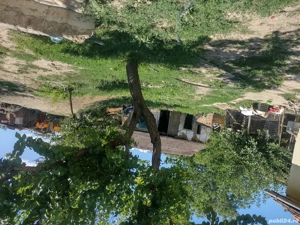 Vând 2 case la preț de unu în Dobra  - imagine 8 Vând 2 case la preț de unu în Dobra  - imagine 8