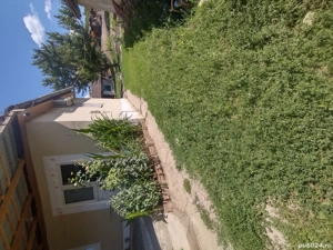 Vând 2 case la preț de unu în Dobra  - imagine 7 Vând 2 case la preț de unu în Dobra  - imagine 7