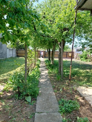 Casa in Dragasani , str Traian , Dragasani, Valcea - imagine 4