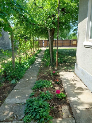 Casa in Dragasani , str Traian , Dragasani, Valcea - imagine 7