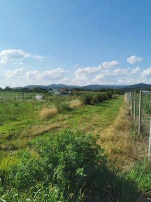Teren intravilan, sat Sasar - imagine 3