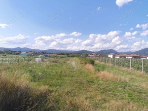 Teren intravilan, sat Sasar