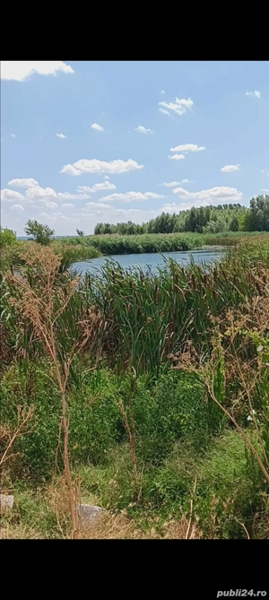 Vand teren intravilan com Gradistea sat rasa
