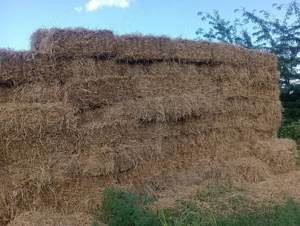 Baloți de paie 2025 