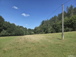 De vanzare 3 parcele de 1000 mp teren intravilan Valea Dâlbii pe UAT Rosia. - imagine 7