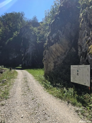 De vanzare 3 parcele de 1000 mp teren intravilan Valea Dâlbii pe UAT Rosia. - imagine 4