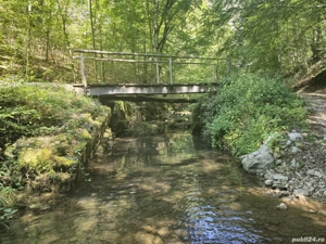 De vanzare 3 parcele de 1000 mp teren intravilan Valea Dâlbii pe UAT Rosia. - imagine 5