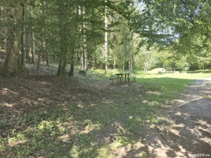 De vanzare 3 parcele de 1000 mp teren intravilan Valea Dâlbii pe UAT Rosia. - imagine 6