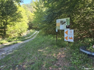 De vanzare 3 parcele de 1000 mp teren intravilan Valea Dâlbii pe UAT Rosia. - imagine 3