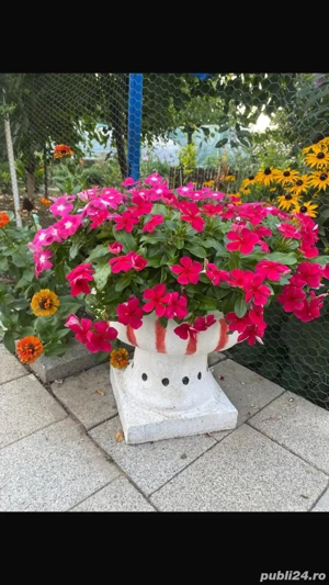 Vind ghivece din beton.  - imagine 3