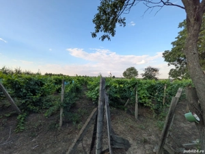 Casă de vânzare in Olesesti - imagine 5