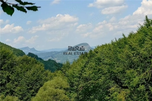 Teren montan cu priveliste si izvor - 5727mp in Buces, langa padure