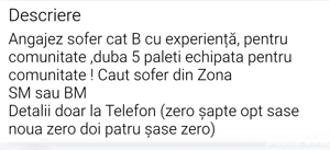 Șofer cat B 