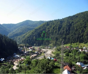 Teren Voineasa/Intravilan/5500 mp