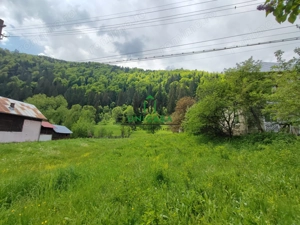 Teren Voineasa/Intravilan/5500 mp - imagine 4