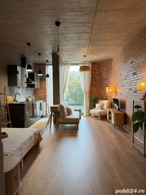 Inchiriere - Studio Loft Green Apartments, Vedere padure, direct proprietar - imagine 6