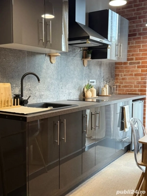 Inchiriere - Studio Loft Green Apartments, Vedere padure, direct proprietar - imagine 10