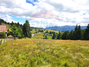 Teren de vis în Fundata 3868mp, la înălțimea sufletului tău