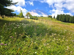 Teren de vis în Fundata 3868mp, la înălțimea sufletului tău - imagine 6