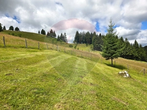 Teren de vis în Fundata 3868mp, la înălțimea sufletului tău - imagine 5