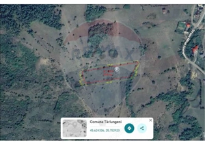 Teren de vanzare 8,700 mp  Tarlungeni, comision 0 cumparator