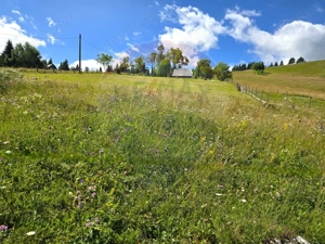 Teren de vis în Fundata 3868mp, la înălțimea sufletului tău - imagine 14