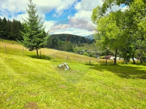 Teren de vis în Fundata 3868mp, la înălțimea sufletului tău - imagine 9