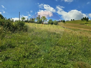 Teren de vis în Fundata 3868mp, la înălțimea sufletului tău - imagine 8