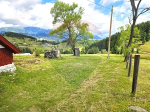 Teren de vis în Fundata 3868mp, la înălțimea sufletului tău - imagine 12