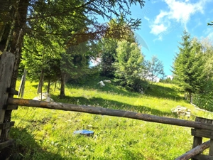 Teren de vis în Fundata 3868mp, la înălțimea sufletului tău - imagine 7