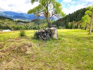 Teren de vis în Fundata 3868mp, la înălțimea sufletului tău - imagine 17