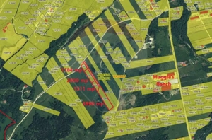 Comision 0! Teren Rasnov- Strada Valea Panicelului, 2263mp - imagine 8
