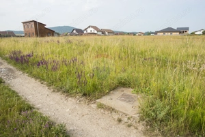 Teren Bod, cartier Poiana Craitelor, 732-2196mp, utilități, - imagine 13