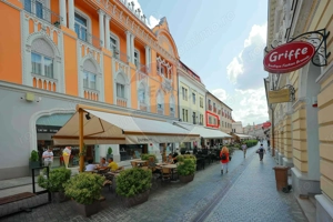 Apartament de vânzare, 2 camere, ultracentral, Str. Republicii, Oradea