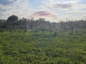 Casa de vanzare P+M - imagine 3