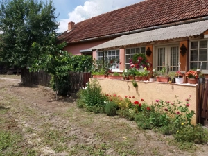 Casa la tara - imagine 6