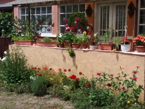 Casa la tara - imagine 4