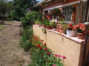 Casa la tara - imagine 5