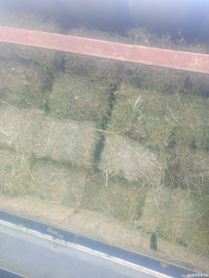 vând baloți de paie si de fan din Vaslui 