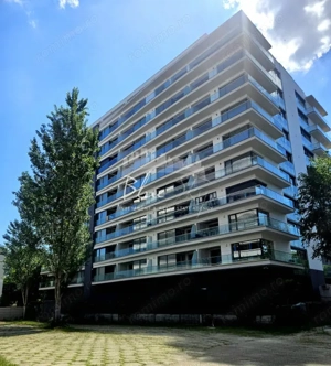 Saraesa Mamaia  Teatrul de vara - imagine 13